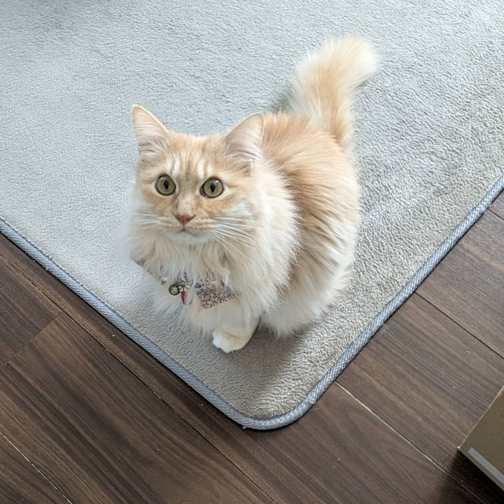 3fc0ff2a 2a98 4ef3 af2f 8fed7f2b0f55 1772682133461