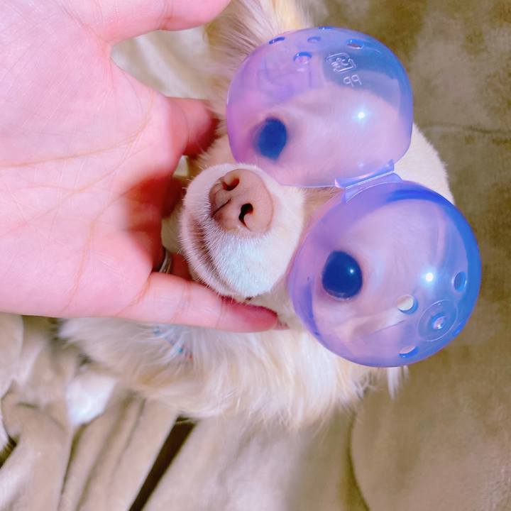 3fc10a71 c024 4de8 aa25 58b8cf457975 1636635778748