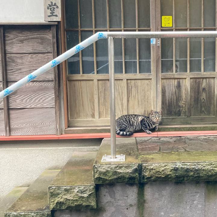 3fc132a6 a426 445d 9cb5 3e356620e1c8 1632098512901