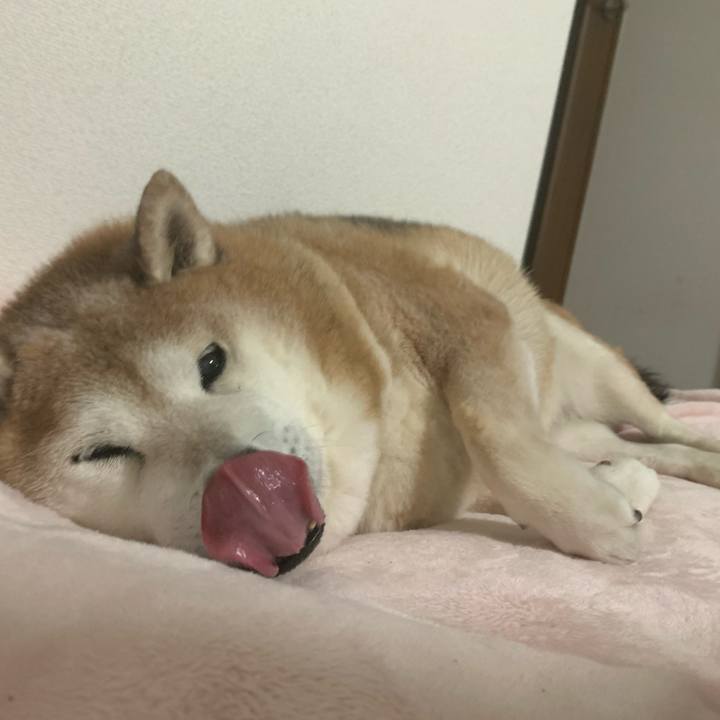 3fc15c7c 16c6 4eb4 9804 2e6070b3dc4f 1611453412839