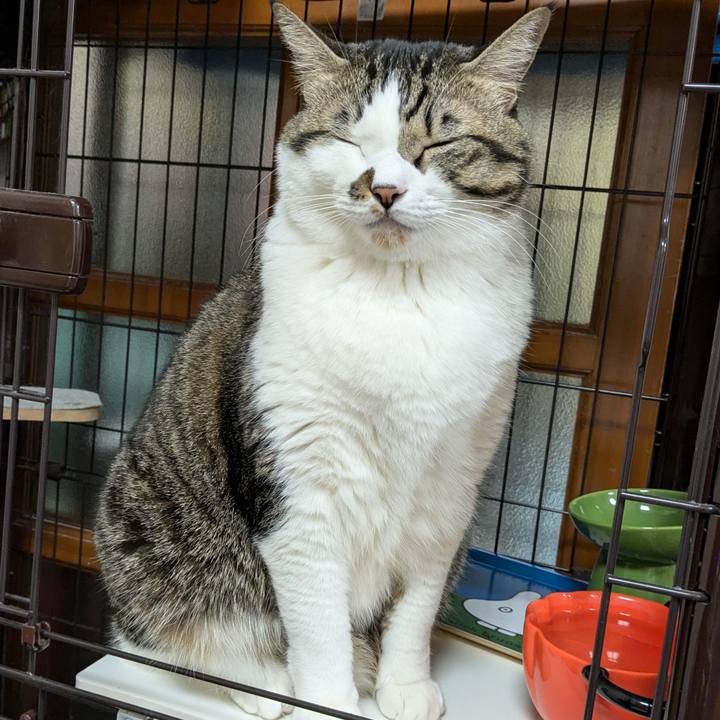 3fc1adb5 6d4f 4194 bf10 abf6adb0d938 1732101334146