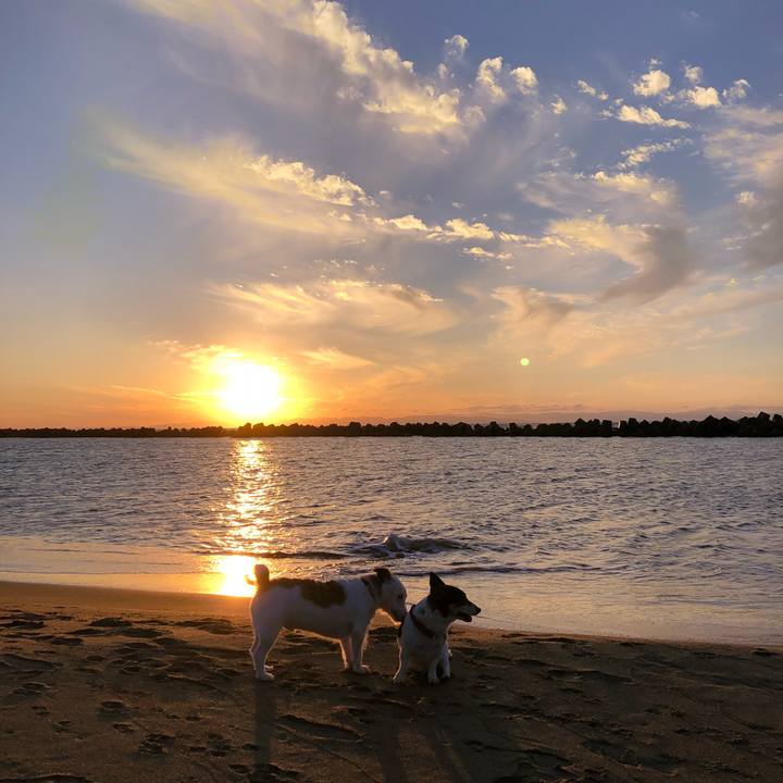 3fc1bf62 04af 408b a2c1 84cf5a118893 1536658815836