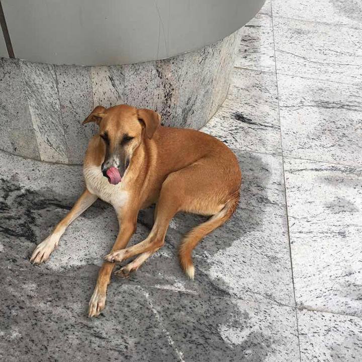 3fc1dafa 00ef 4cab af7d f4e48496a253 1536710683340