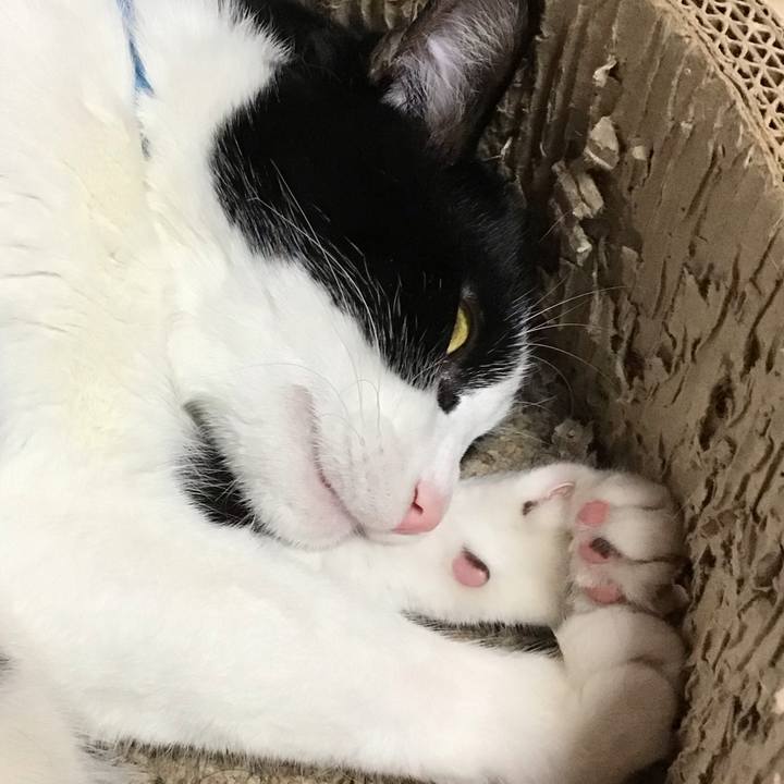 3fc23578 b492 49cb bed2 c26fe336108f 1744356187498