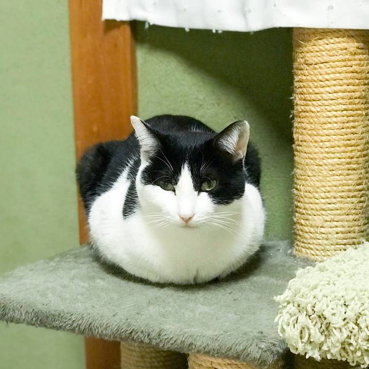 3fc2562e c36b 4dbe bed4 9d00cff7d631 1514510282567