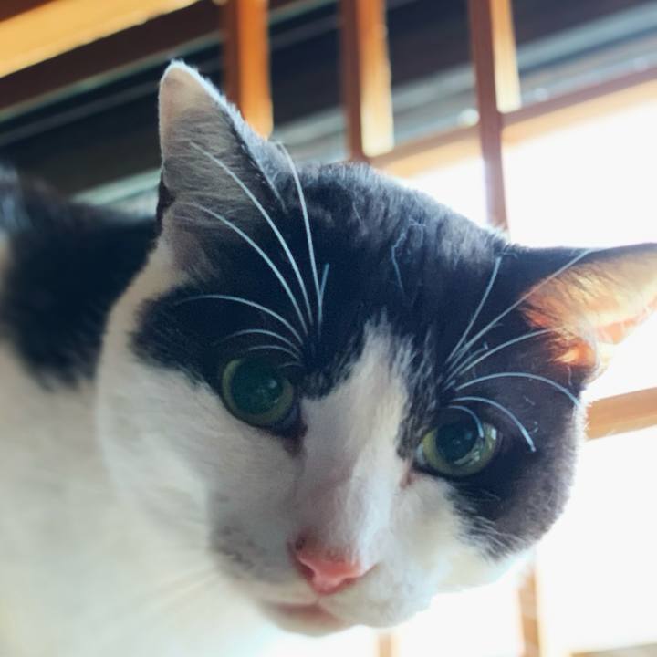 3fc25ac2 d0e2 4b48 9a00 7ced4bbd627e 1596850844093