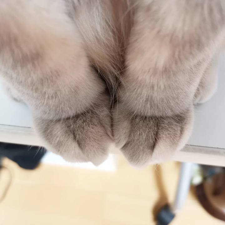 3fc262c8 cf59 4a60 a63d e35d0885c284 1612410922420