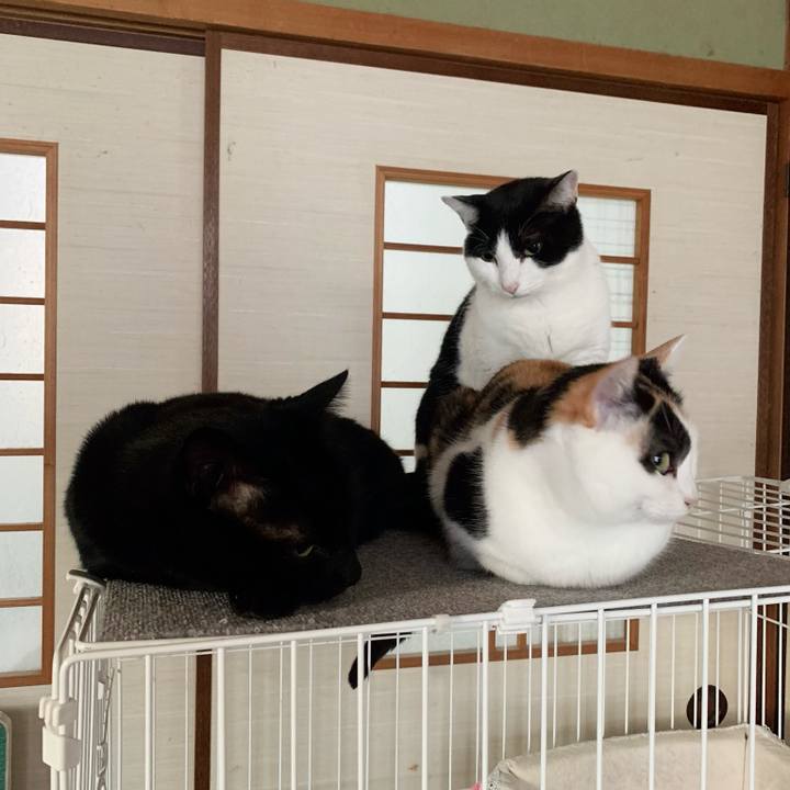 3fc2636e 72b3 4475 98f8 d1675141e819 1548294150731