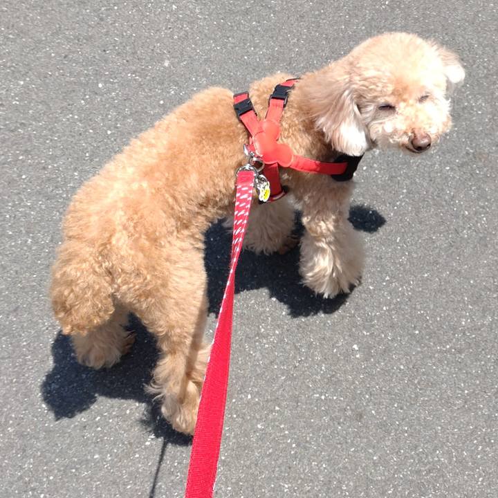 3fc2b175 1cf4 4a7f 991a cab8af29b7fe 1651720201607