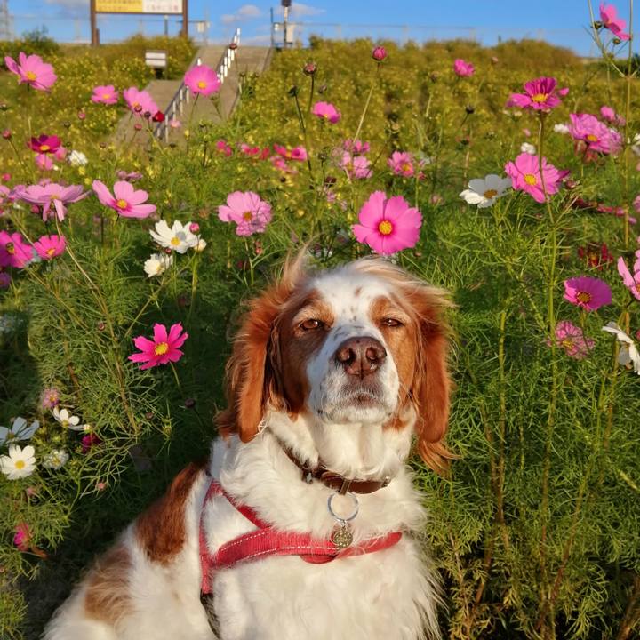 3fc31f90 7829 4b71 9451 46ebc984fde4 1603712297417