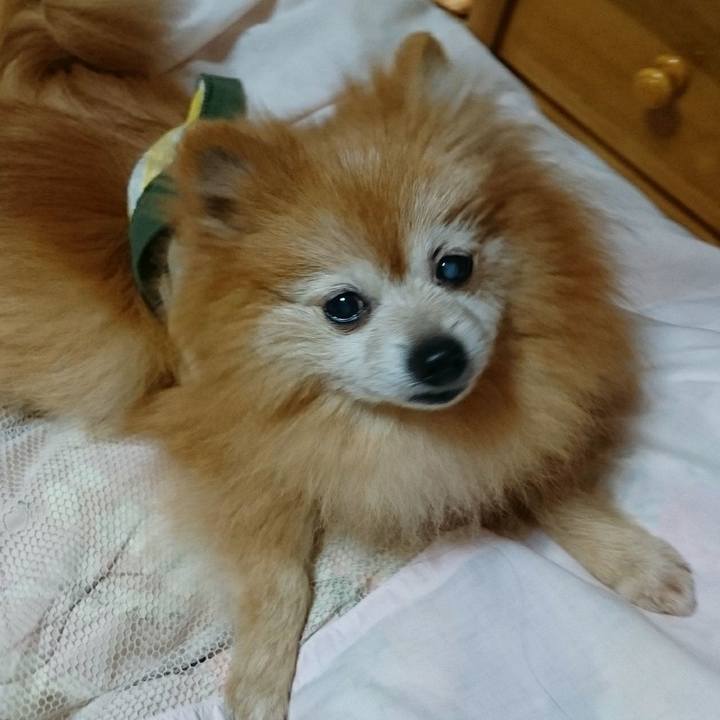 3fc378a8 c4c8 4673 bb73 edd0e5660183 1579387126135