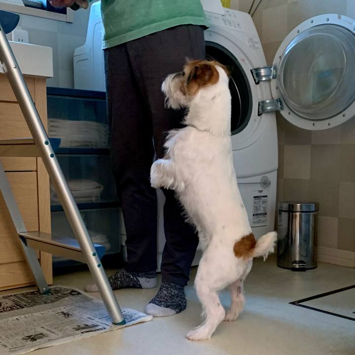 3fc395a3 09df 455a a5cb 8ebcec6d5851 1607826173518