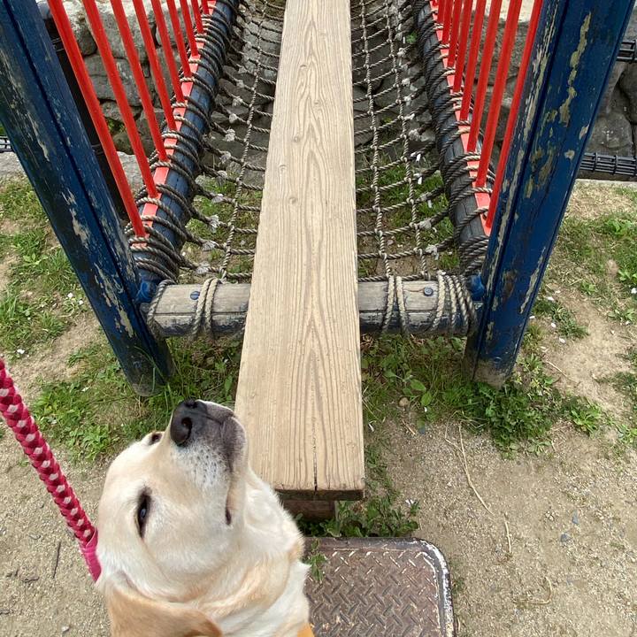 3fc3ab98 e6ac 4f50 8536 8d62b035af33 1618211320342