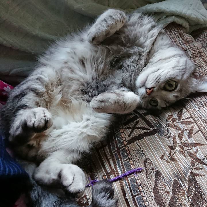 3fc3b0fc 97ed 4a3d b6bb 8e98b114de28 1532596127452