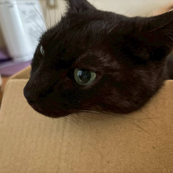 3fc3b897 784e 450c bf56 dfc8bef497ca 1749851730614