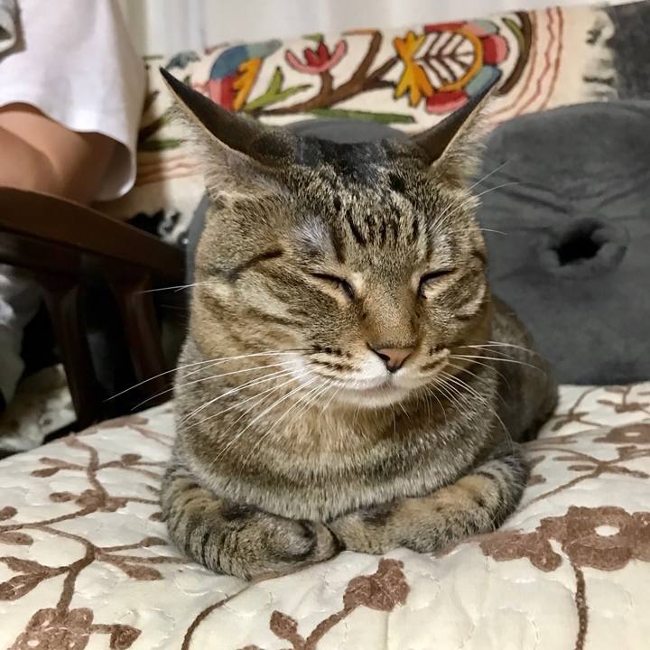 3fc3d243 0331 4bd6 8f76 c007511ef08e 1526653367664