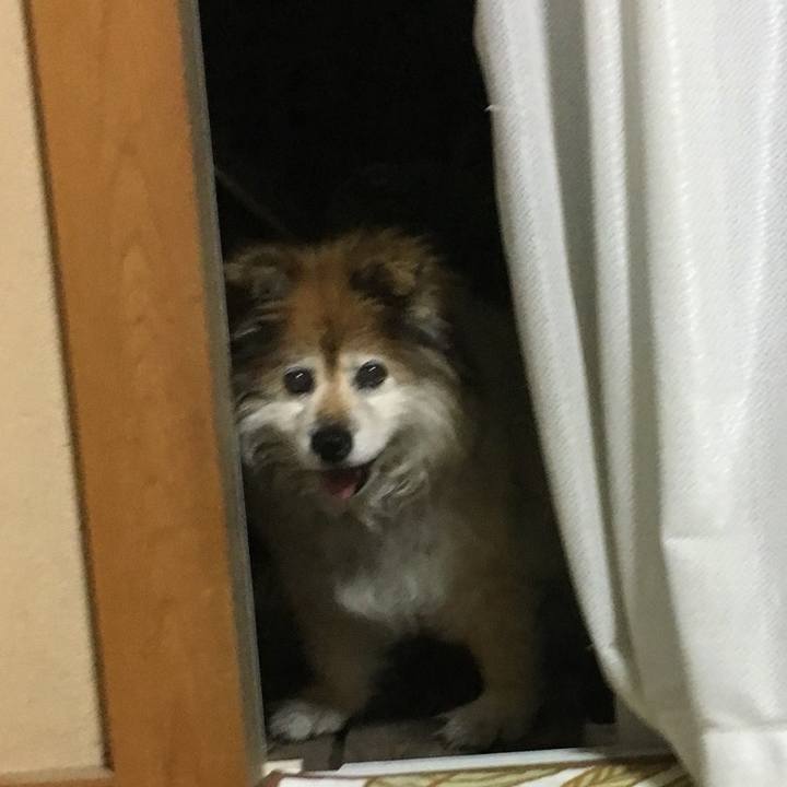 3fc3eba8 470d 4548 9d47 d812eb237211 1566053381101