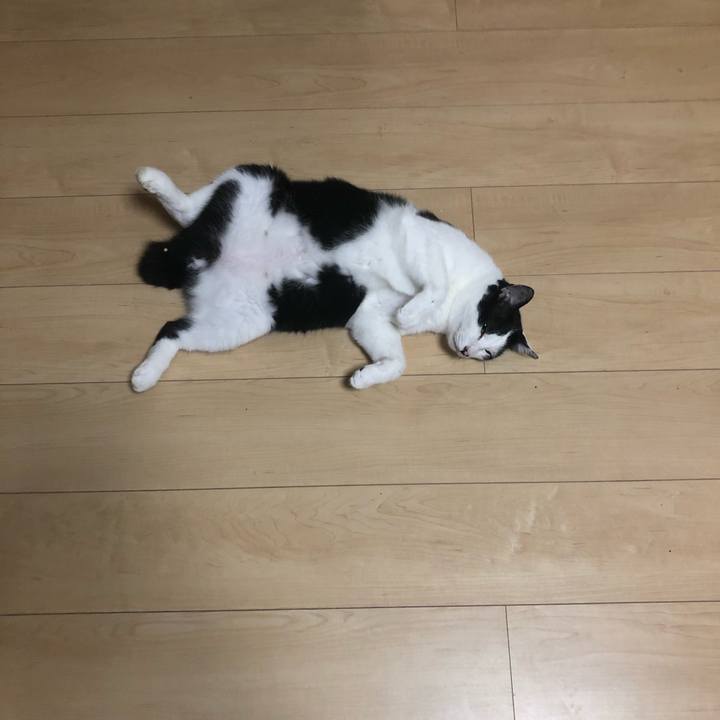 3fc3ef4e a82e 435d 9611 17f881584fc8 1597406281757