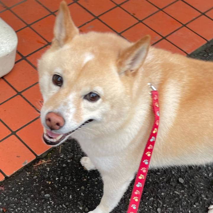 3fc3f155 8ac5 4217 a022 b091f95be5fe 1726746312663