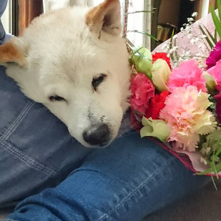 3fc4010f 7811 4252 b9a6 45296aeb3e6e 1557659990170