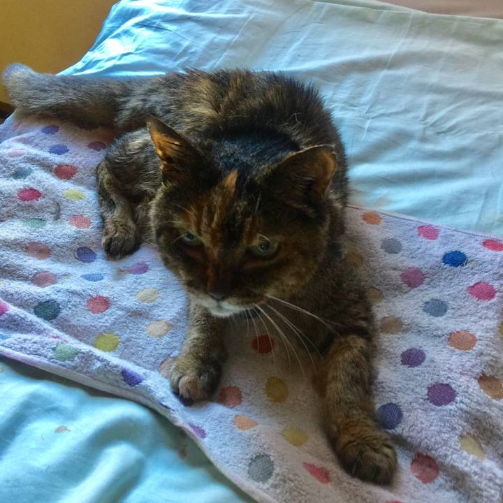 3fc4051d cb43 4ec5 a0be 1e0e1282fefd 1662250742233