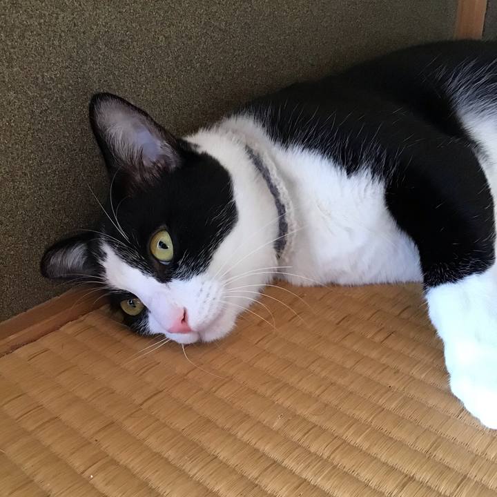 3fc47c7b c032 4aee 8160 0928fe0c3abd 1657255020105