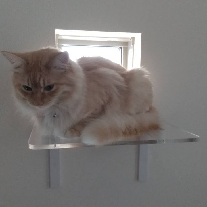 3fc47d18 e019 4c13 8407 aa8ef8b5919a 1626218215244