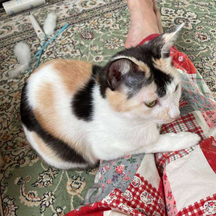 3fc49ad0 dc70 43d2 babe 102cb9288d48 1699831044003