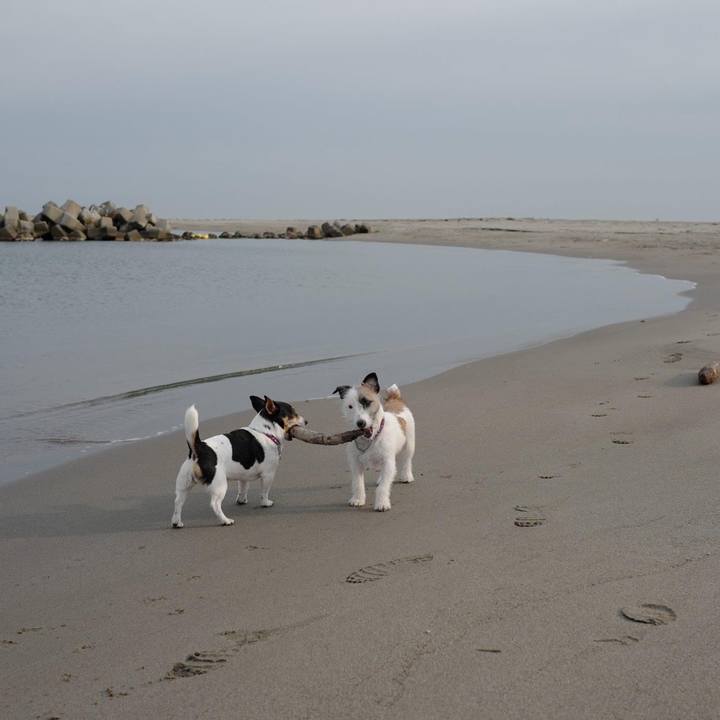 3fc4a2dc eb4d 4ee4 a9a3 a080fe26bbbf 1647130456245