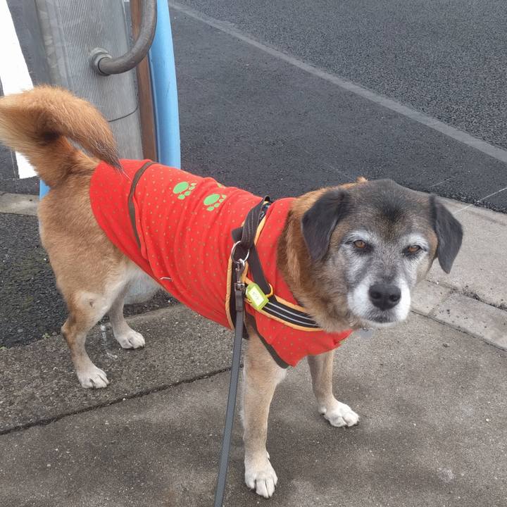 3fc4f09d de08 4fe6 b14d 20565768b1bf 1516235614514