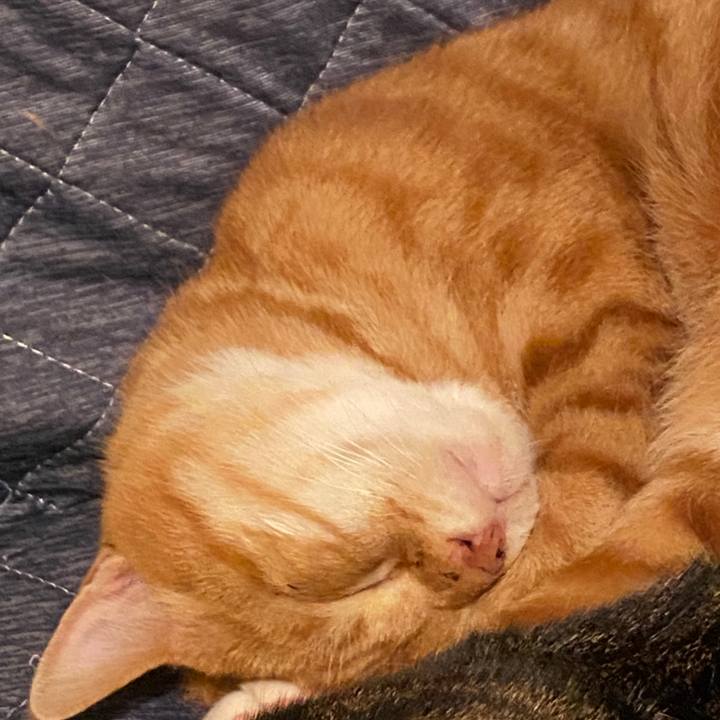 3fc52fd8 d702 4d83 8b36 6d10c33d6446 1586712431918