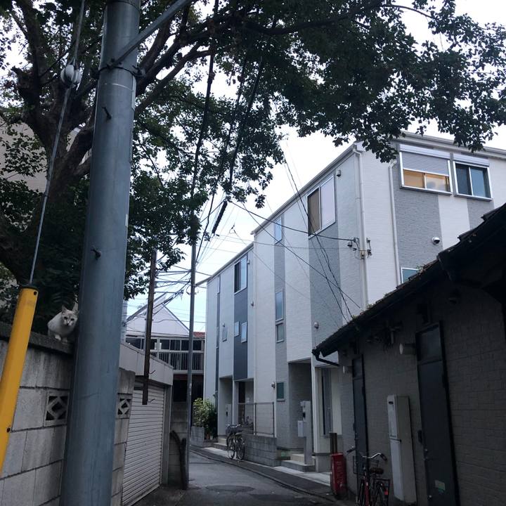 3fc54bde e9dd 4845 b52d 34c37dd13cf1 1570466169086