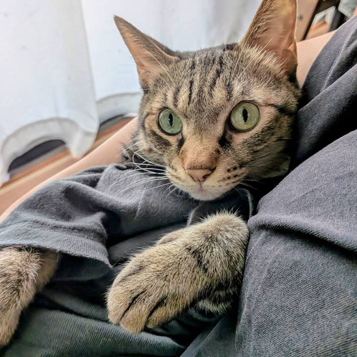 3fc57528 287c 42e0 b9fd 6f59ae5fb6e1 1758685520554