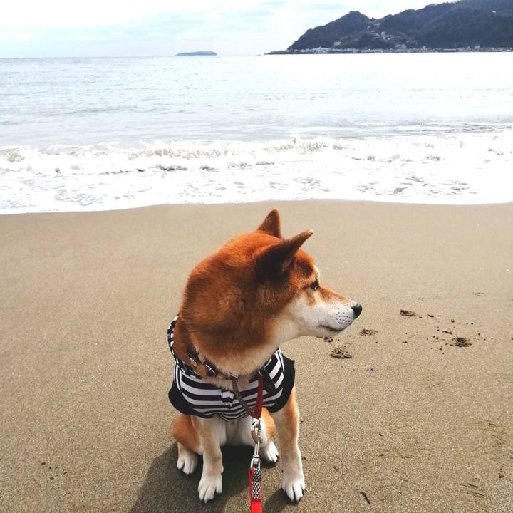 3fc587af 7de0 4a1a 8ef1 b53b56dc2e46 1647932629632