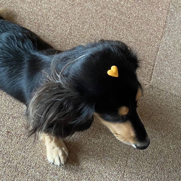 3fc58d04 1c54 4e59 b86f 5e79a2d5e1aa 1696831279721