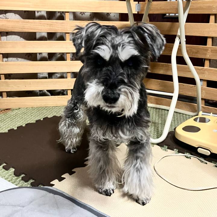 3fc596d9 c000 4f4b 8be6 1616217111bb 1772893333288