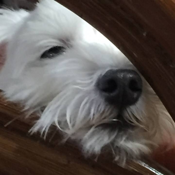 3fc5a351 e952 4a57 a81f 41cf09422bb6 1513122536407