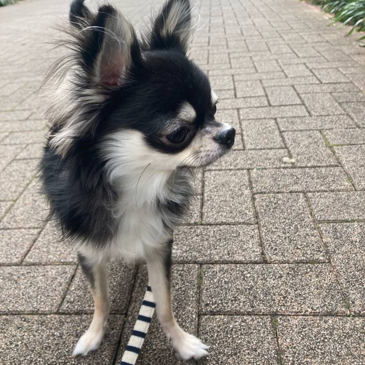 3fc5d81a 0c8b 4474 a015 3d172864a556 1604722190665