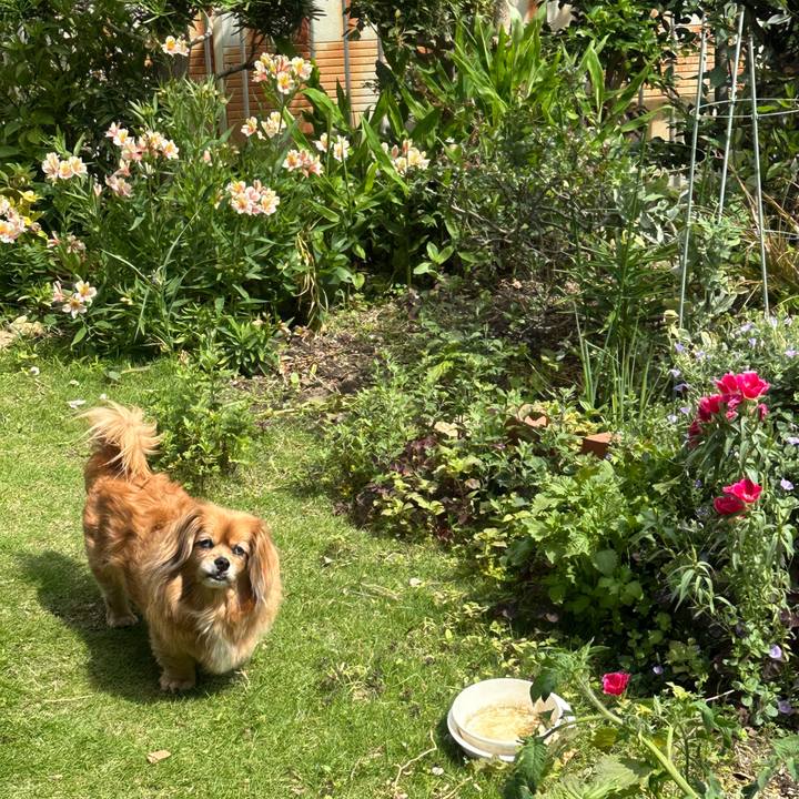 3fc5ec87 31dd 4252 b003 f4bf6151c8e5 1748811366748