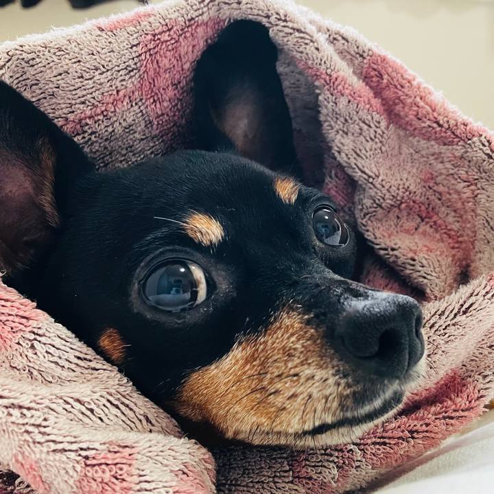 3fc60b43 7b64 43b1 8d30 7b28ad914896 1751701206817