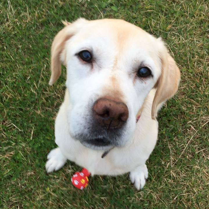 3fc65100 9649 4ca4 848d 6a965288e12b 1509621543040