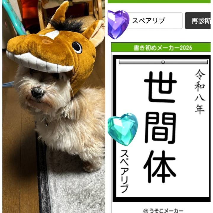 3fc65646 865b 472a a6fd 30dee9e4a5ad 1767479283572