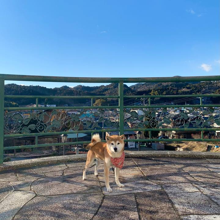 3fc68194 39c0 400c 969e 761deb264521 1643617748105