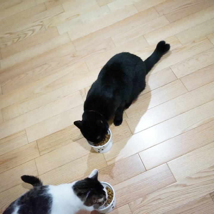 3fc69baa 326e 4f09 85f8 4ec78a072cb0 1539347004916