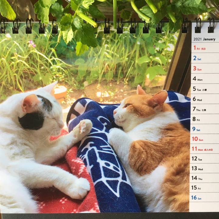 3fc6a915 e859 4a76 998a eb7daf490406 1610264009856