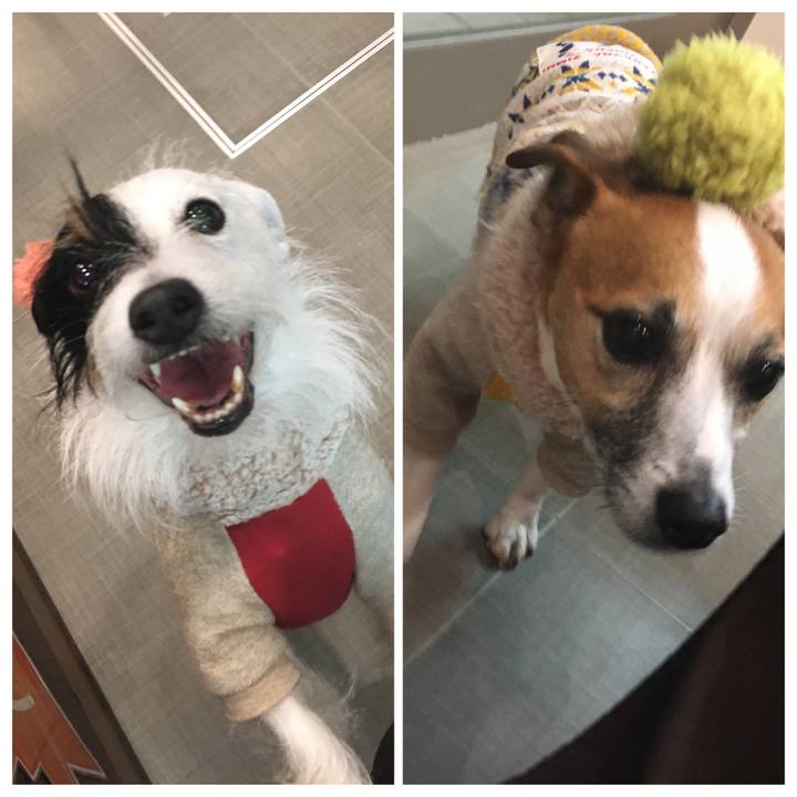 3fc6b58b c9f8 45ca 90c8 8ccec1b25b86 1577103476501