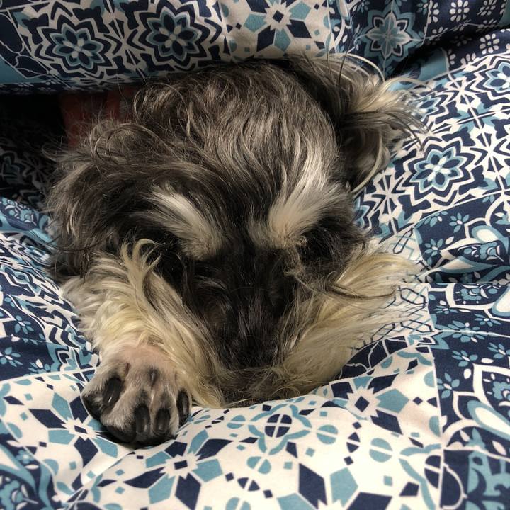 3fc6b631 4e4f 4785 94e6 8ee07f5fea04 1524000576724