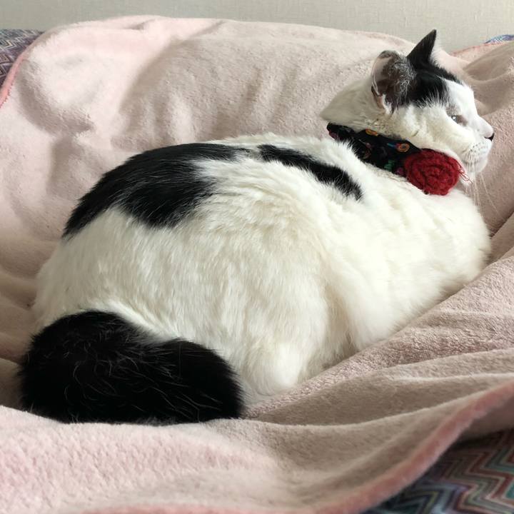 3fc6d1e5 81a3 466b 94ba cc61db9c8434 1546501344801