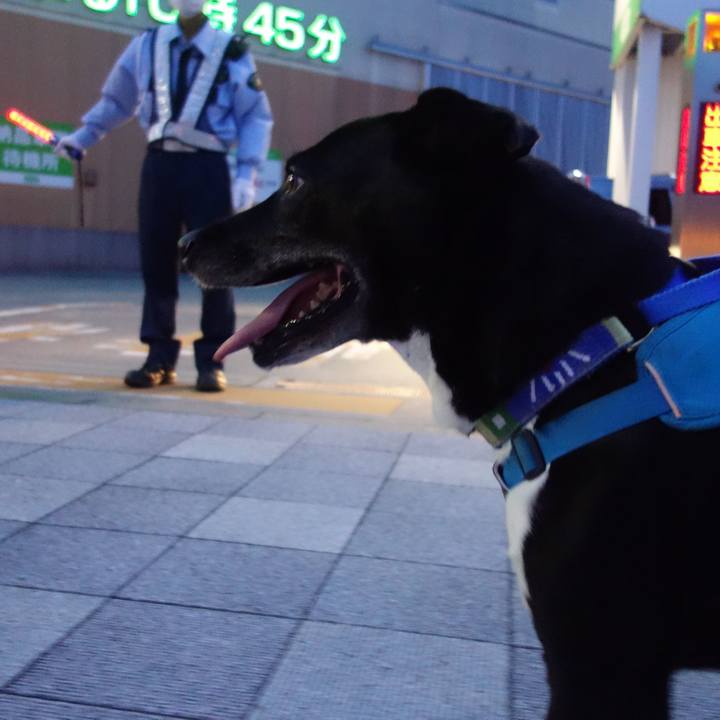 3fc7209c 85a3 463e 8559 111e865f1f59 1689333095494