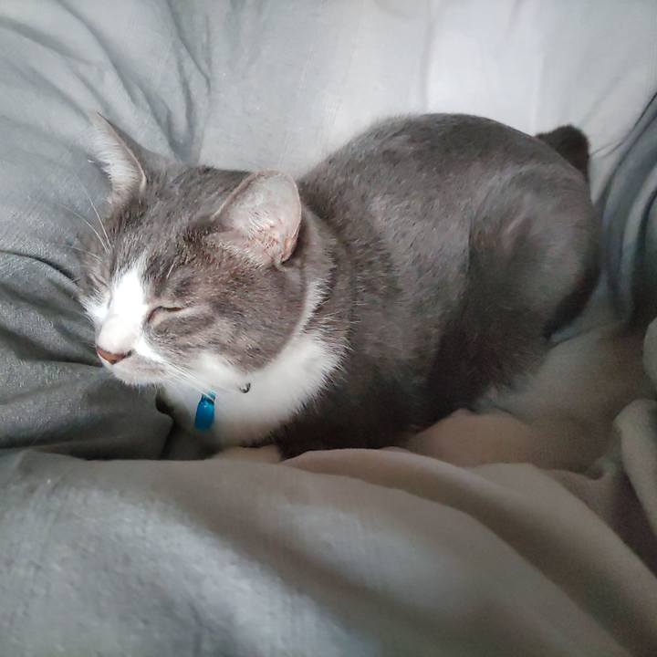 3fc722b5 3d06 45a0 b940 5ba46153f032 1670031248410